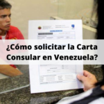 ¿Cómo solicitar la Carta Consular en Venezuela?